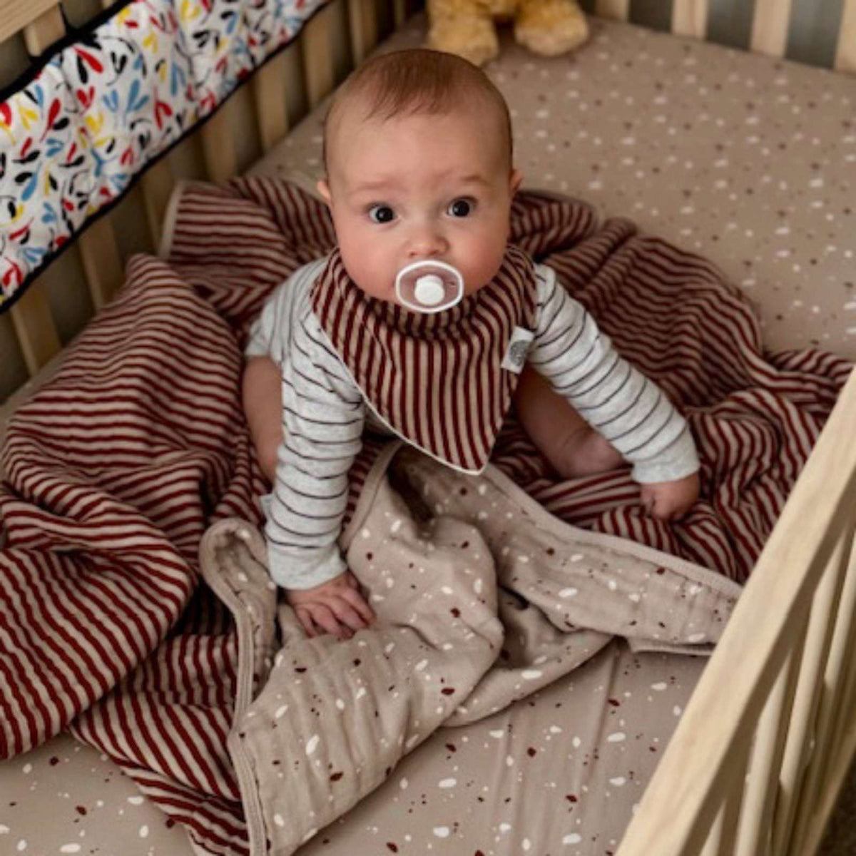 Bandana Bib Set